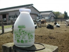 牧場の牛乳&超原乳ヨーグルト 百選セット ／成田ゆめ牧場