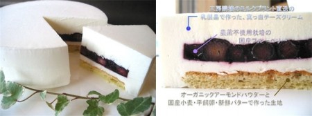 レアチーズケーキ ブルーベリー／ムーラン ナ ヴァン