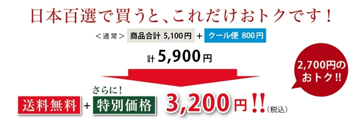 【送料無料】豪華インド料理満喫6品 百選セット